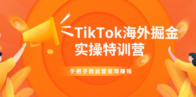 TikTok海外掘金实操特训营：手把手教运营变现赚钱-课程网
